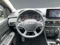 Dacia Jogger 1.0 TCe 110 Extreme+ 7-Sitzer NAVI ALLWETTER Grau - thumbnail 12