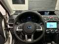 Subaru Forester Forester IV 2015 2.0i Unlimited lineartronic Bianco - thumbnail 11