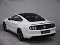 Ford Mustang 3,7 Aut. Coupé - thumbnail 10