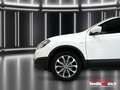 Nissan Qashqai 1.6 dci Tekna 4x4 Bianco - thumbnail 11