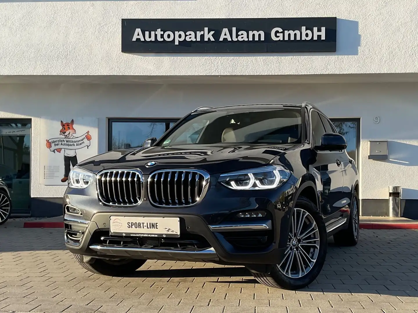 BMW X3 xDrive 20 d Luxury Line HeadUp LED RFK Sound Grau - 1