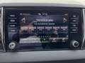 Skoda Karoq 1.0 TSI Business Edition 110 pk | Navigatie | Park Grijs - thumbnail 14