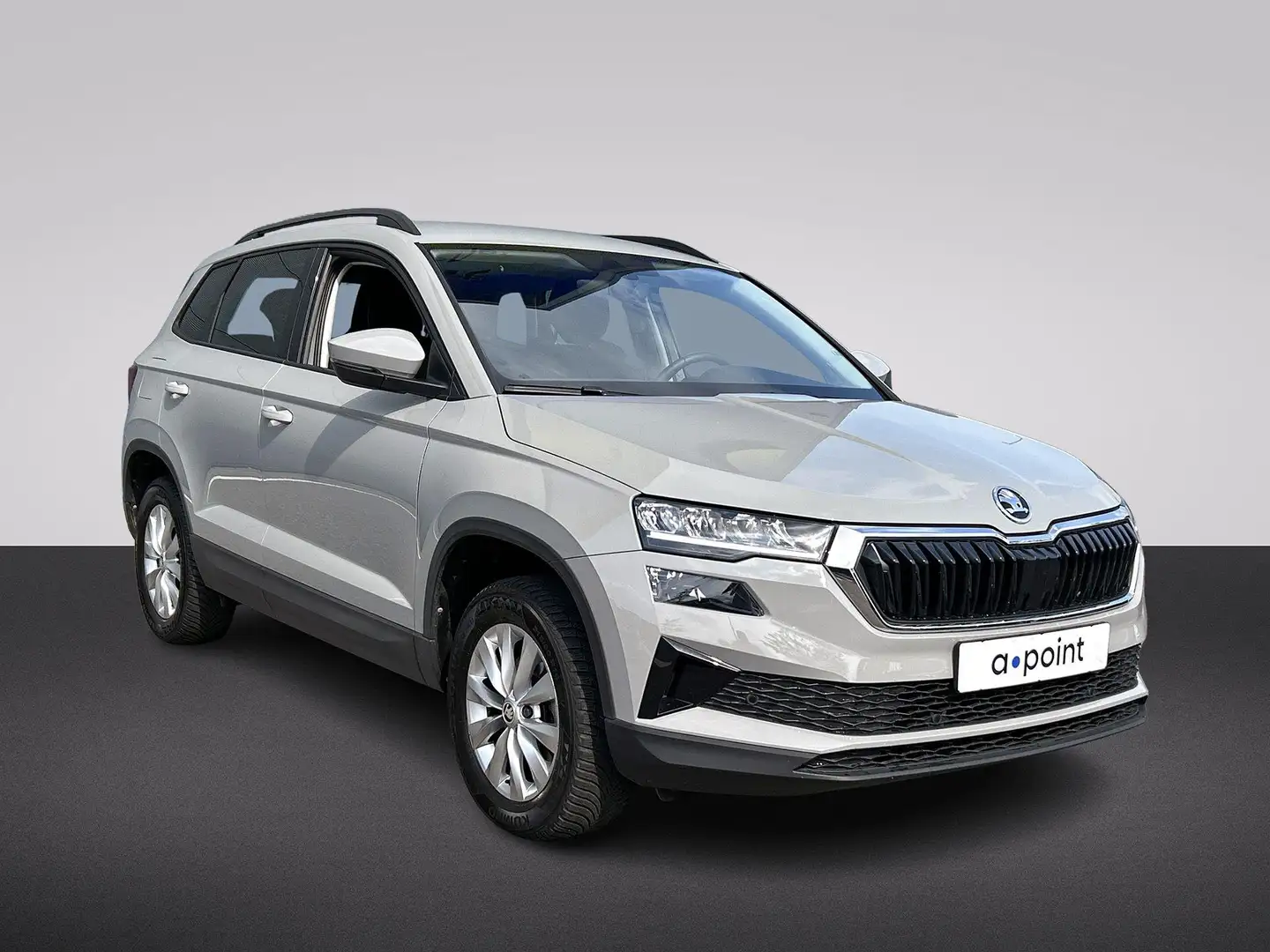 Skoda Karoq 1.0 TSI Business Edition 110 pk | Navigatie | Park Grijs - 2