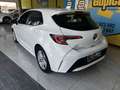 Toyota Corolla 125H Active Blanco - thumbnail 6