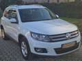 Volkswagen Tiguan Tiguan 2.0 tdi bm Sport Bianco - thumbnail 2