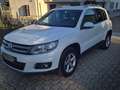 Volkswagen Tiguan Tiguan 2.0 tdi bm Sport Bianco - thumbnail 3