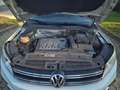 Volkswagen Tiguan Tiguan 2.0 tdi bm Sport Bianco - thumbnail 14