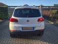 Volkswagen Tiguan Tiguan 2.0 tdi bm Sport Bianco - thumbnail 6