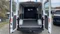 Volkswagen Crafter 35 2.0 TDI MR AHK+KAMERA+scheckheftgepflegt Beyaz - thumbnail 8