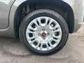 Fiat Panda 1.0 FireFly S&S Hybrid Grau - thumbnail 21