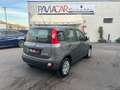 Fiat Panda 1.0 FireFly S&S Hybrid Grau - thumbnail 8