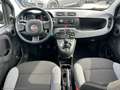 Fiat Panda 1.0 FireFly S&S Hybrid Grau - thumbnail 18
