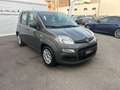 Fiat Panda 1.0 FireFly S&S Hybrid Grau - thumbnail 6