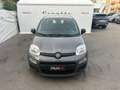 Fiat Panda 1.0 FireFly S&S Hybrid Grau - thumbnail 5