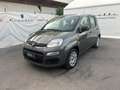 Fiat Panda 1.0 FireFly S&S Hybrid Grau - thumbnail 2