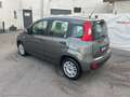 Fiat Panda 1.0 FireFly S&S Hybrid Grau - thumbnail 10