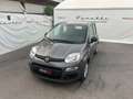 Fiat Panda 1.0 FireFly S&S Hybrid Grau - thumbnail 3