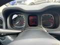 Fiat Panda 1.0 FireFly S&S Hybrid Grau - thumbnail 17