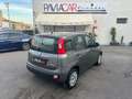 Fiat Panda 1.0 FireFly S&S Hybrid Grau - thumbnail 9