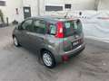 Fiat Panda 1.0 FireFly S&S Hybrid Grau - thumbnail 11