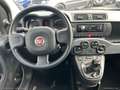 Fiat Panda 1.0 FireFly S&S Hybrid Grau - thumbnail 14