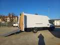 Iveco Daily 35S14 con pedana di carico Bianco - thumbnail 3