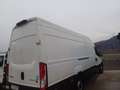 Iveco Daily 35S14 con pedana di carico Bianco - thumbnail 5