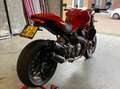 Ducati Monster 1200 Rojo - thumbnail 16