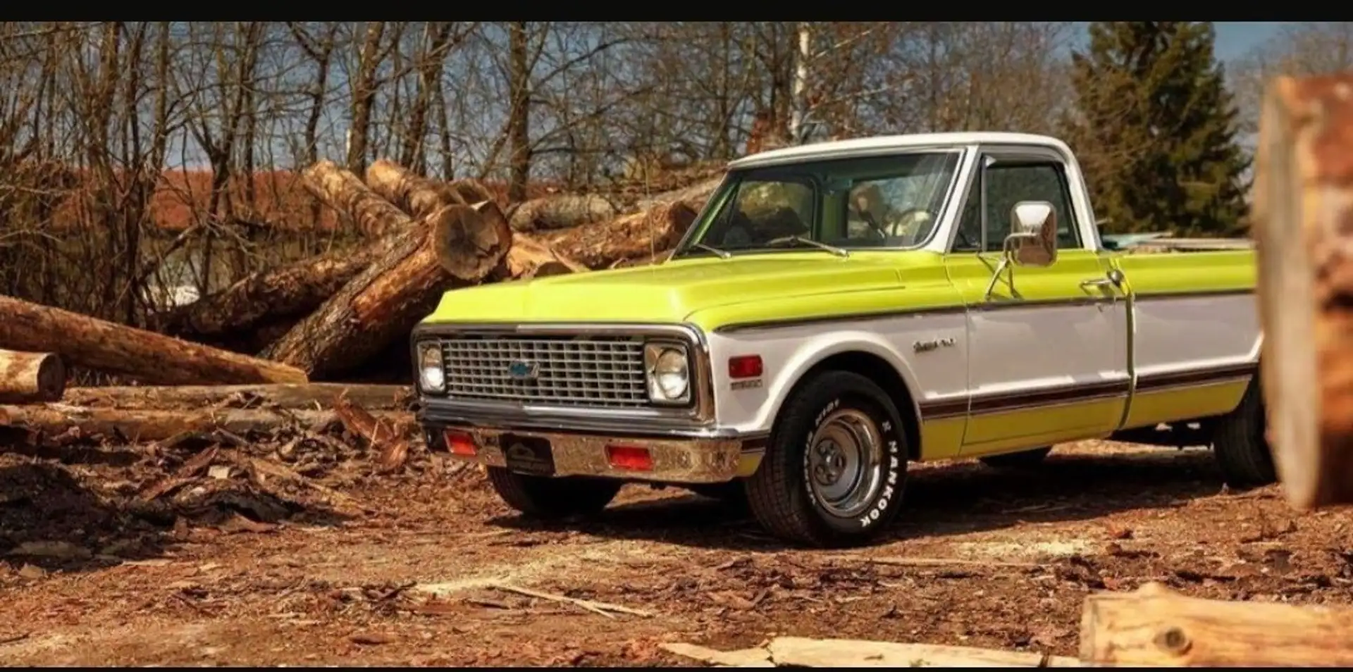 Chevrolet Chevrolet c10 custom de luxe - 2