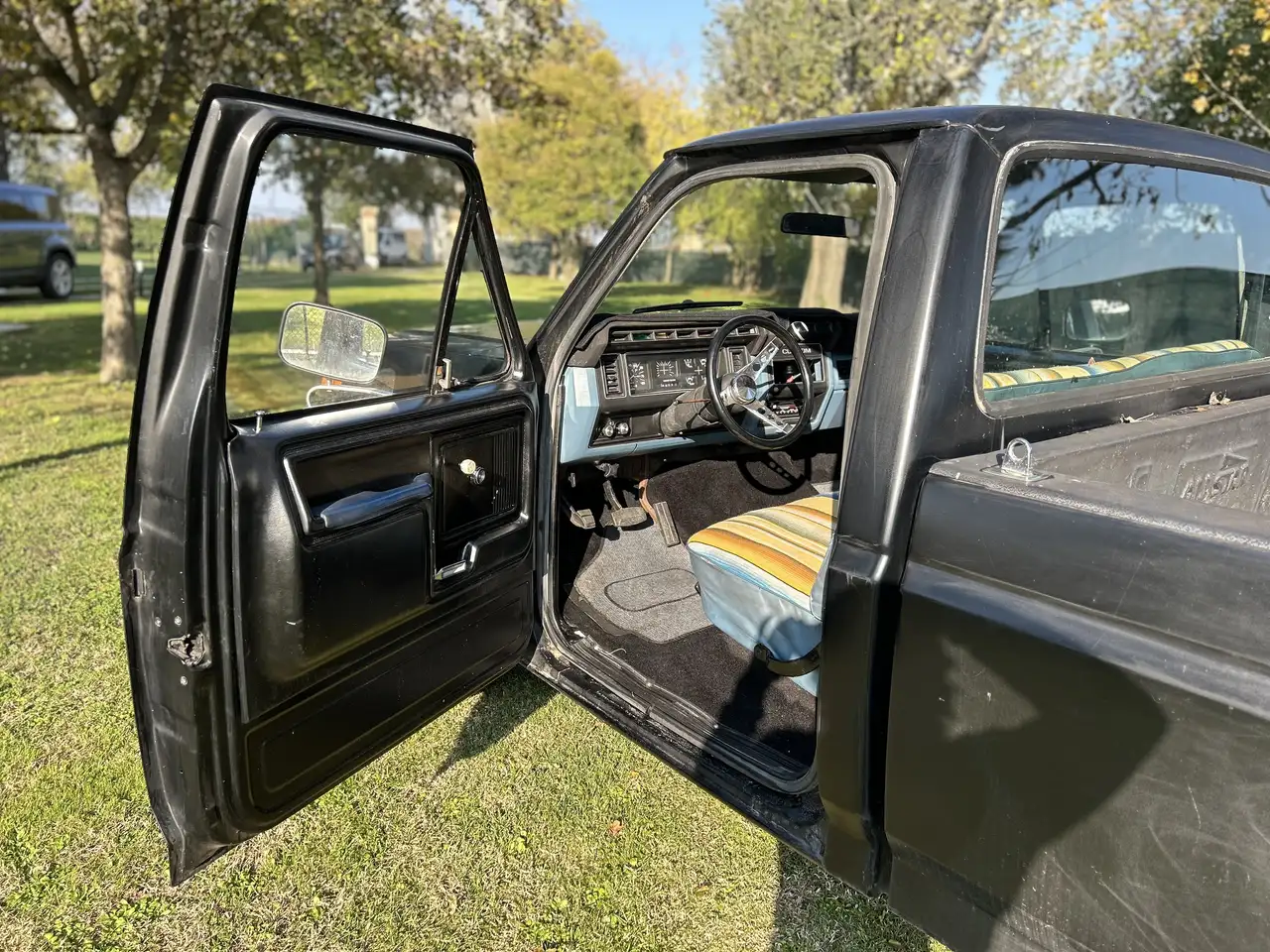 Ford F 100, foto 10