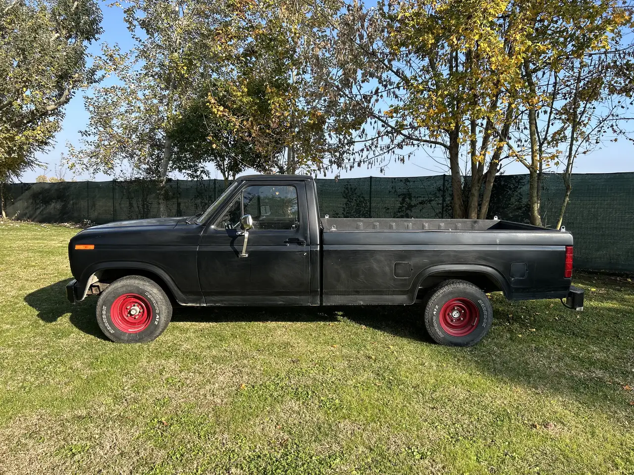 Ford F 100, foto 3