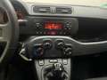 Fiat Panda 1.2 KLIMA PDC ISOFIX EL. FENSTERHEBER Klima Rot - thumbnail 14