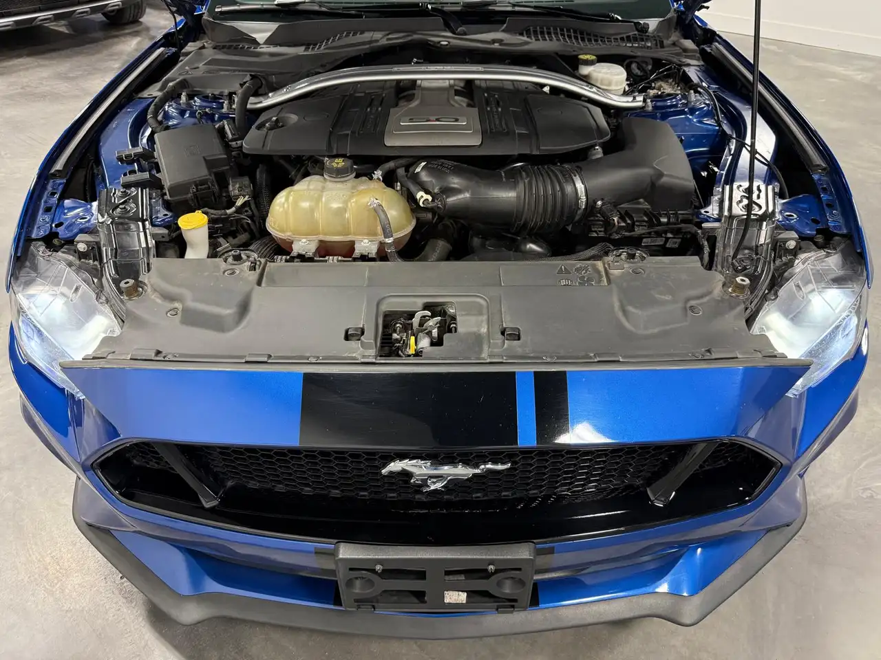 Ford Mustang fotografie Ford Mustang