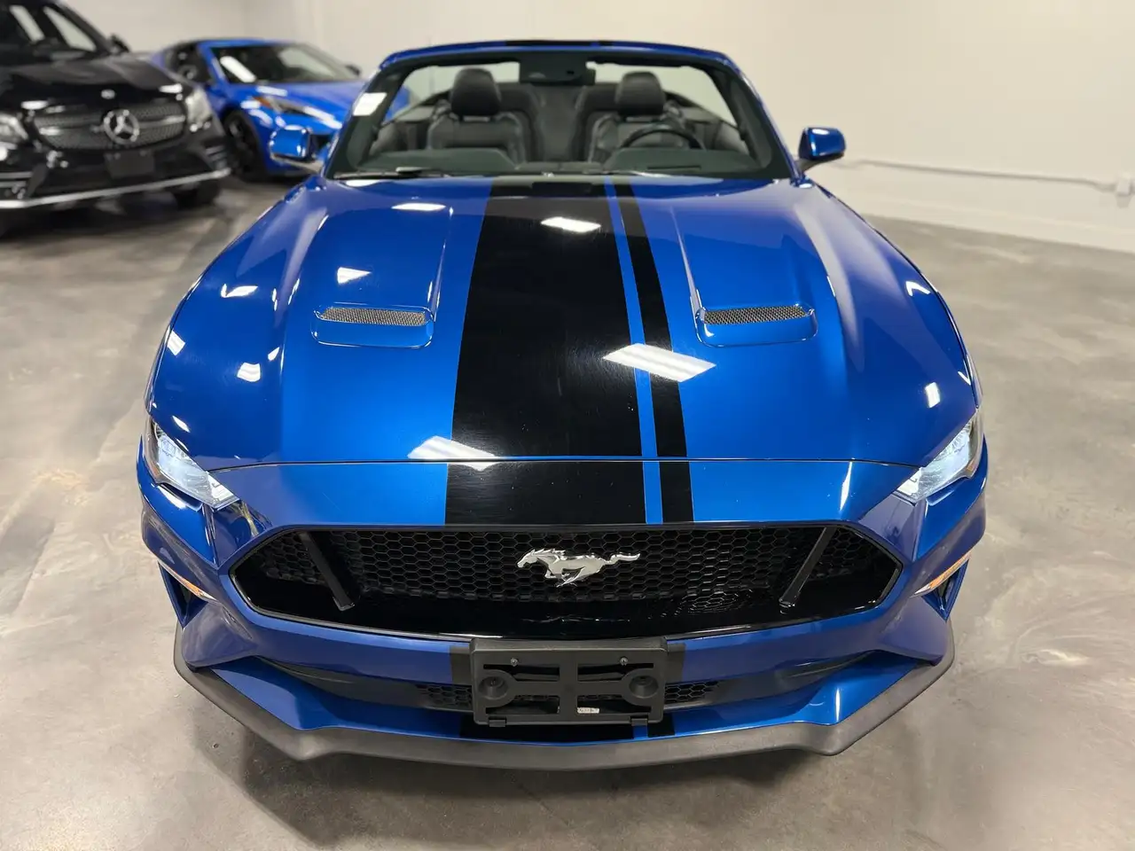 Ford Mustang fotografie Ford Mustang