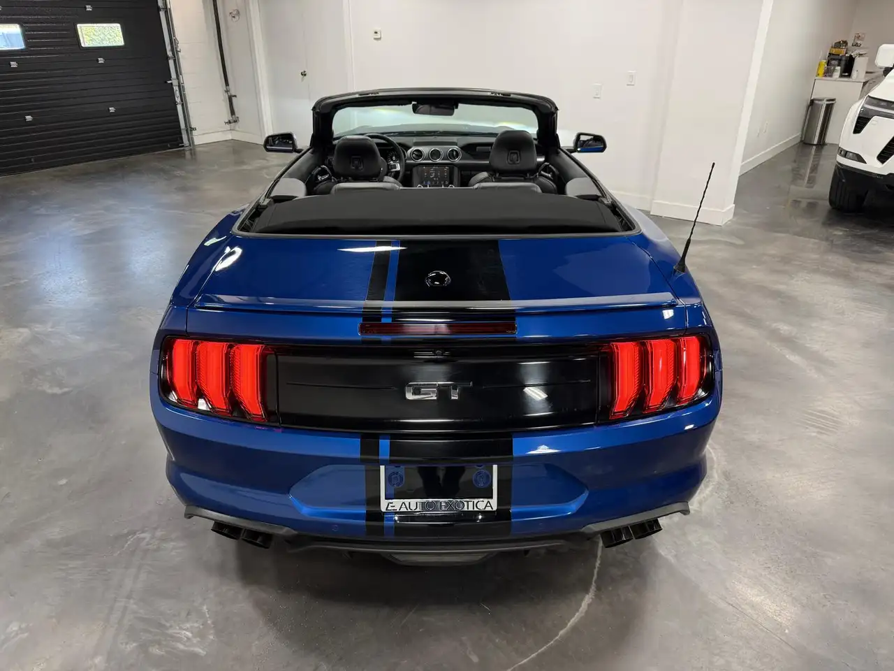 Ford Mustang fotografie Ford Mustang