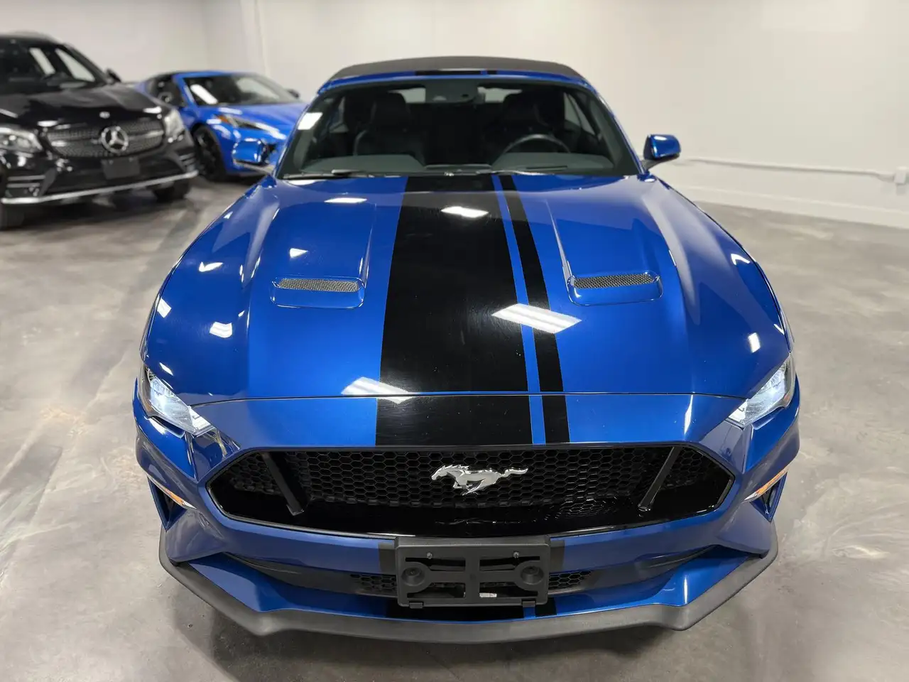 Ford Mustang fotografie Ford Mustang