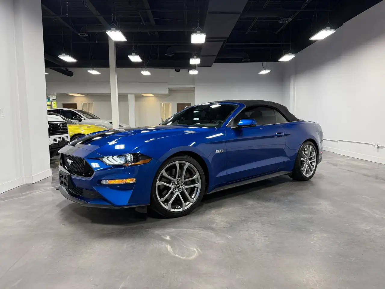 Ford Mustang fotografie Ford Mustang