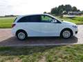 Mercedes-Benz B 220 d Ambition AUT AC **EX-POLITIE** ** 6999 MARGE** Blanc - thumbnail 6