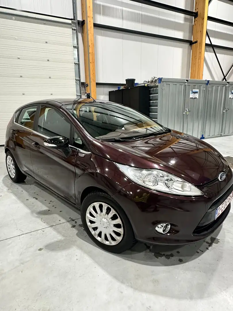 Ford Fiesta Family - 2