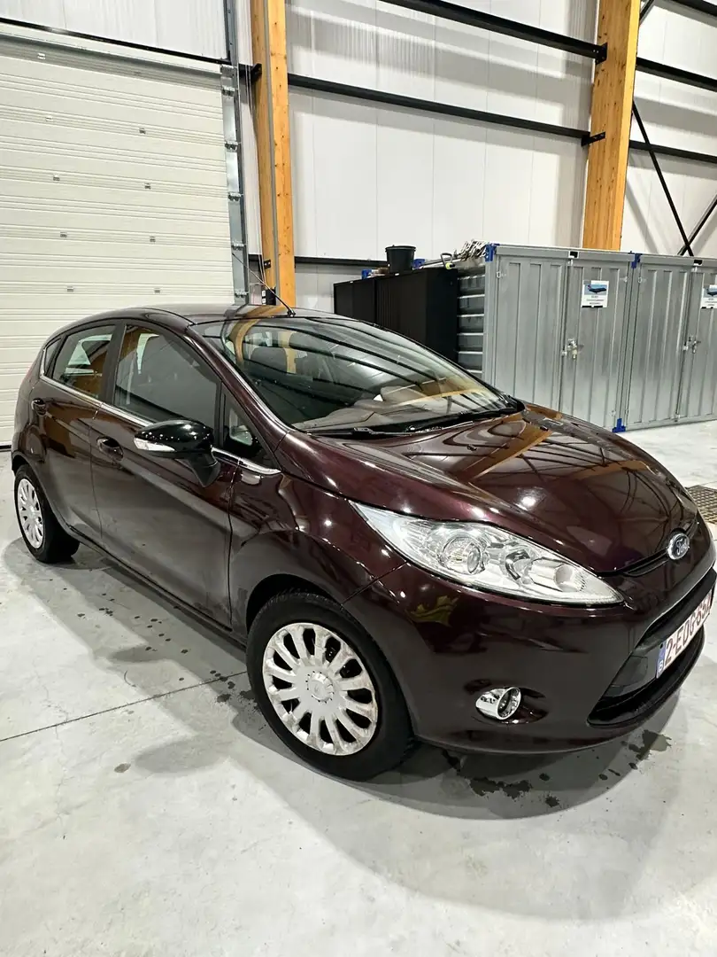 Ford Fiesta Family - 1