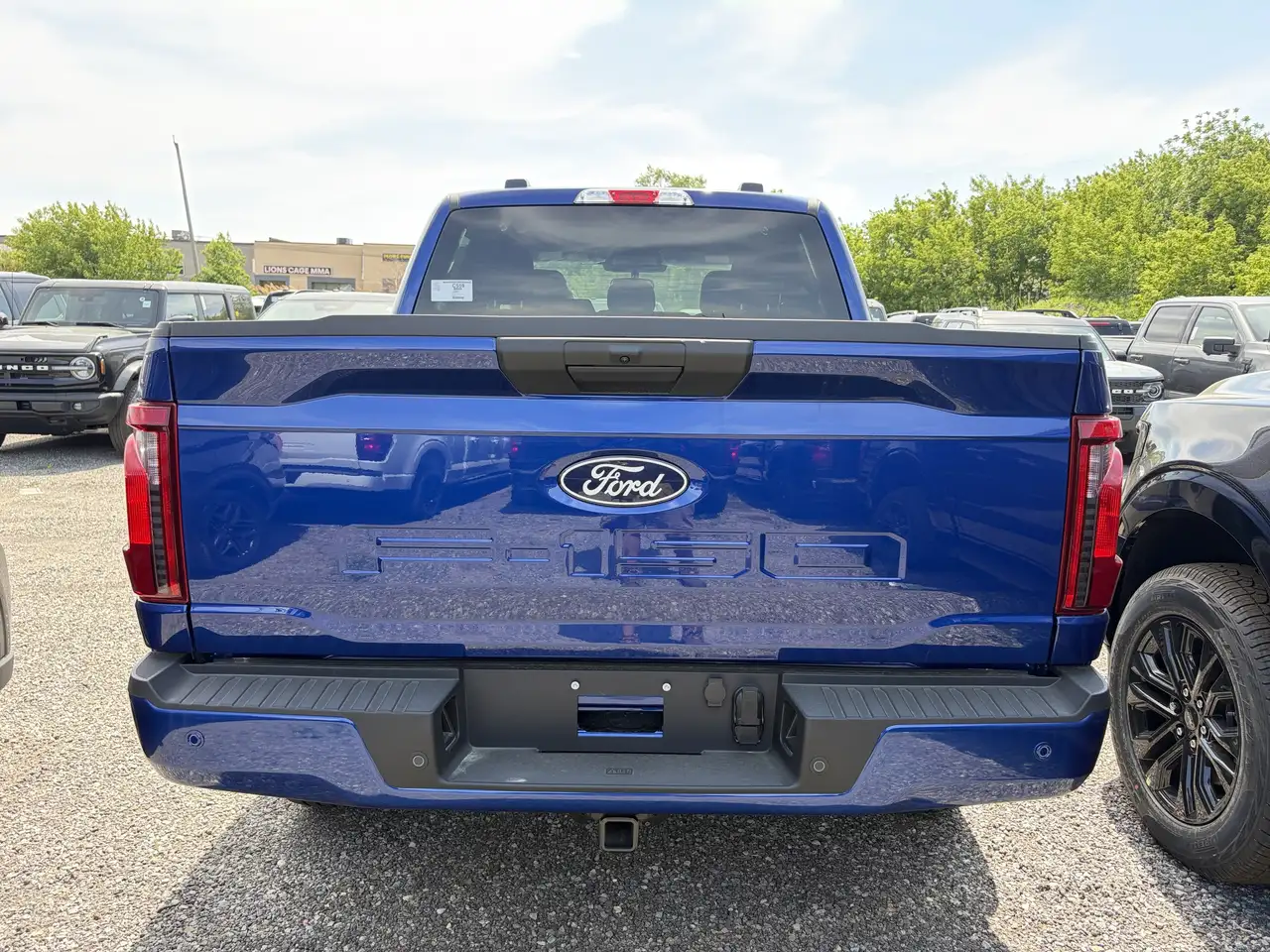 Ford F 150 fotografie Ford F 150