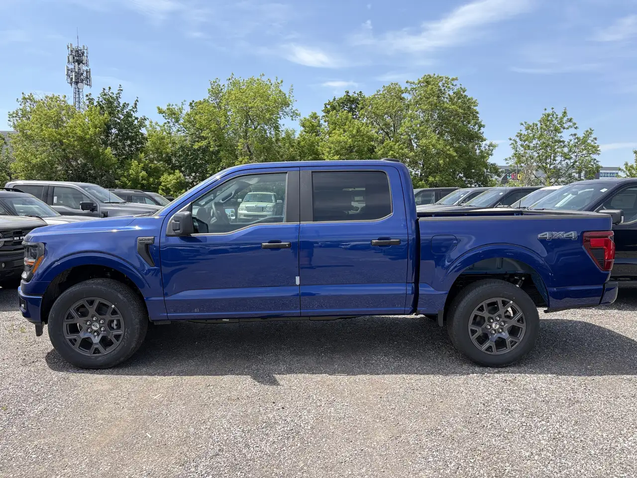Ford F 150 fotografie Ford F 150
