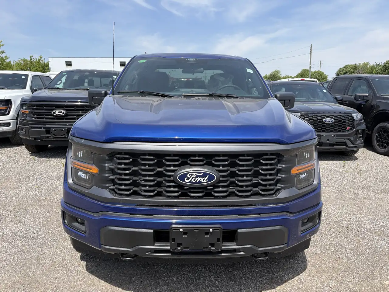 Ford F 150 fotografie Ford F 150