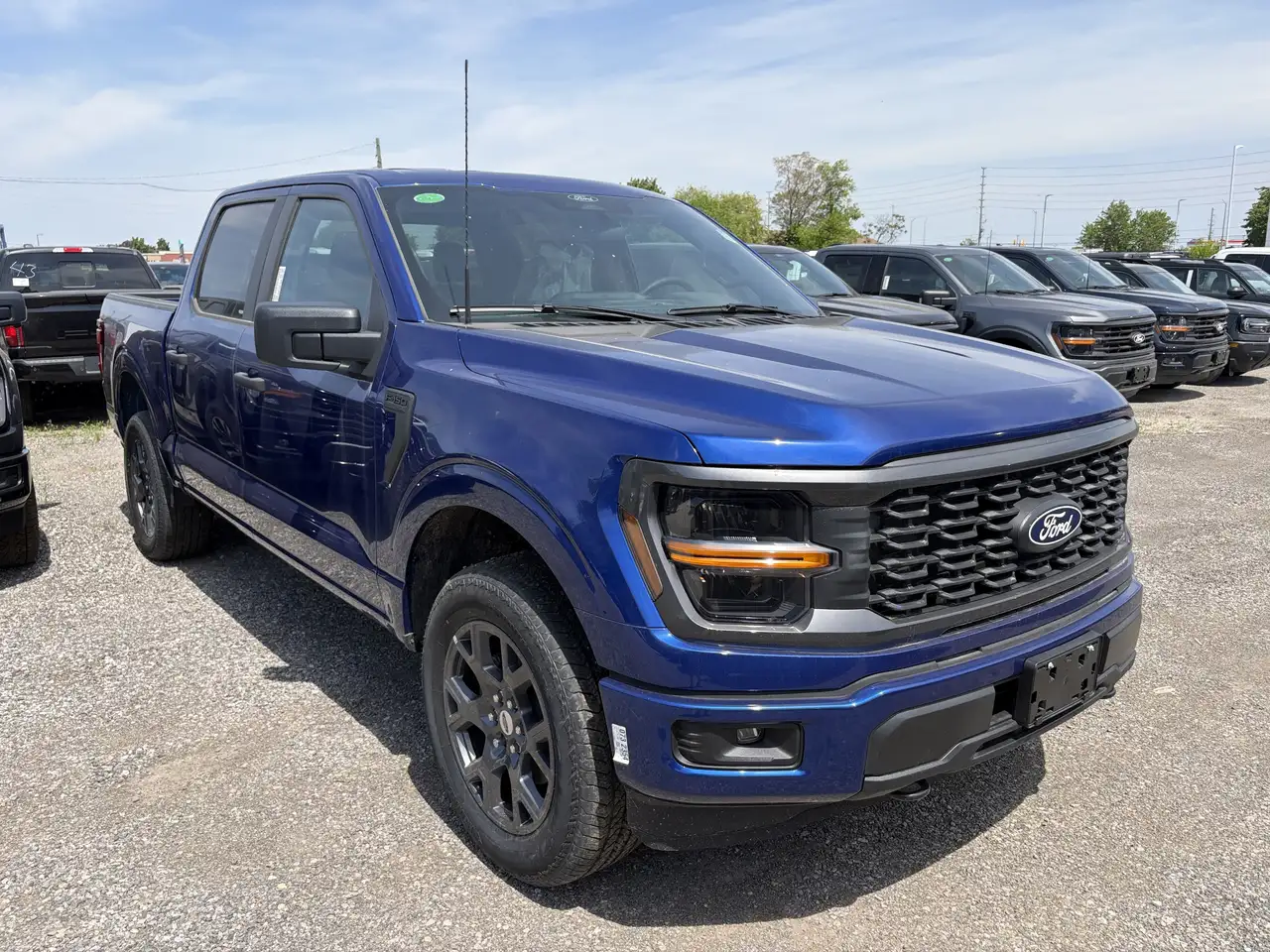 Ford F 150 fotografie Ford F 150
