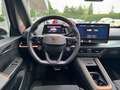 CUPRA Born Adrenaline 62 kWh Gris - thumbnail 14
