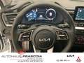 Kia Ceed / cee'd Sportswagon Plug-in Hybrid Platinum Edition 1.6 EU Weiß - thumbnail 16