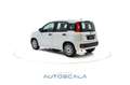 Fiat New Panda 1.0 FireFly S&S Hybrid Easy Blanco - thumbnail 4