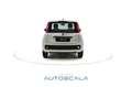 Fiat New Panda 1.0 FireFly S&S Hybrid Easy Blanco - thumbnail 5