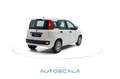 Fiat New Panda 1.0 FireFly S&S Hybrid Easy Blanco - thumbnail 6