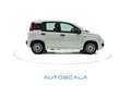 Fiat New Panda 1.0 FireFly S&S Hybrid Easy Blanco - thumbnail 7